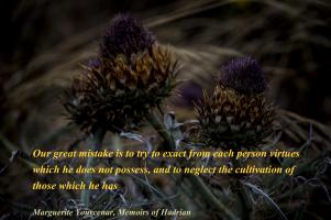 Marguerite Yourcenar's quote #2