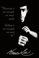 Martial Arts quote #2