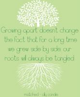 Matched quote #2