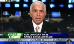 Mel Karmazin's quote #1