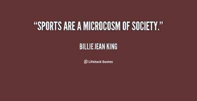 Microcosm quote #1