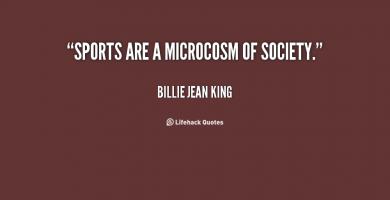 Microcosm quote #1