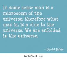 Microcosm quote #1