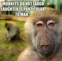 Monkeys quote #2