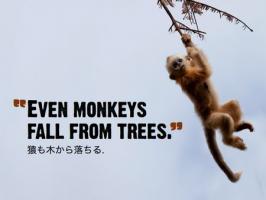 Monkeys quote #2