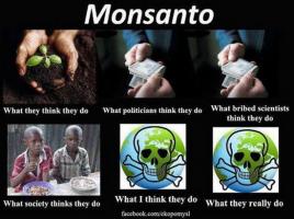 Monsanto quote #1