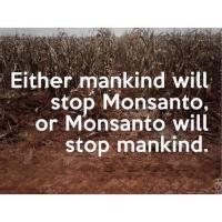 Monsanto quote #1