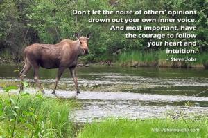 Moose quote #2