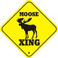 Moose quote #2