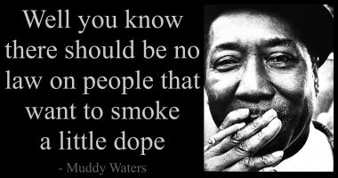 Muddy Waters quote #2