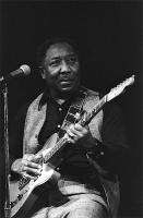 Muddy Waters quote #2