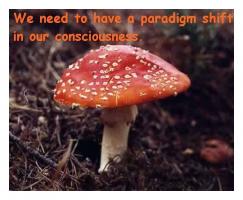 Mushroom quote #1