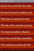 Muslim World quote #2