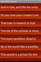 Muslim World quote #2