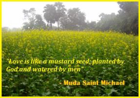 Mustard quote #2