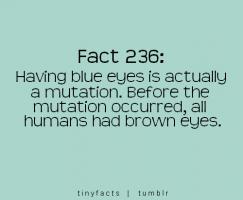 Mutation quote #2