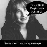 Naomi Klein's quote #3