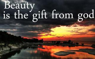 Natural Beauty quote #2