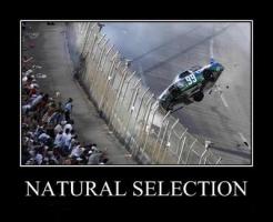 Natural Selection quote #2