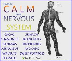 Nervous System quote #2