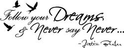 Never Say Never quote #2