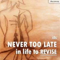 Never Too Late quote #2