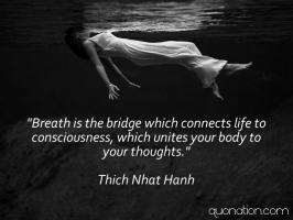 Nhat Hanh's quote #4