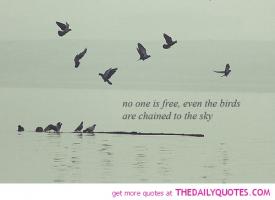 No-One quote #2