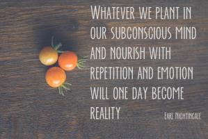 Nourish quote #2