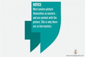 Novice quote #1