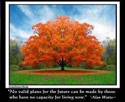 Now quote #2