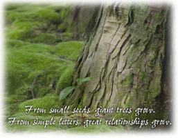 Nurture quote #3