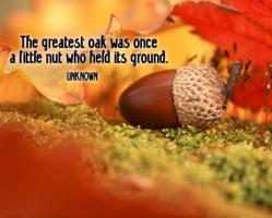 Oak quote