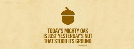 Oak quote #2