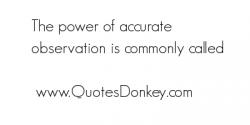 Observation quote #2