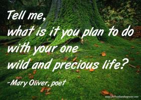 Oliver quote #2