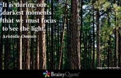 Onassis quote #2