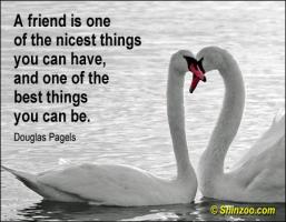 One Friend quote #2