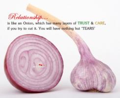 Onion quote #1