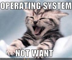 Operating System quote #2