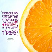 Oranges quote #1