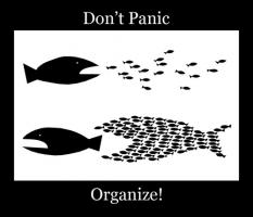 Organize quote #4