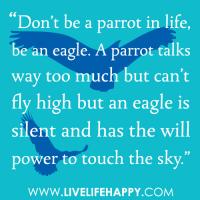 Parrot quote #1