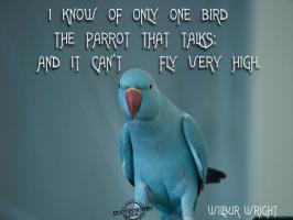 Parrot quote #1