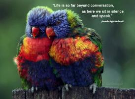 Parrots quote #1