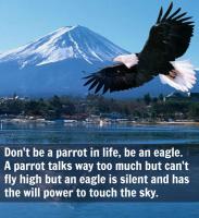 Parrots quote #1