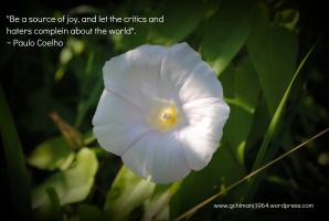 Paulo Coelho's quote