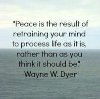 Peace Process quote #2