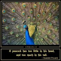 Peacock quote #2