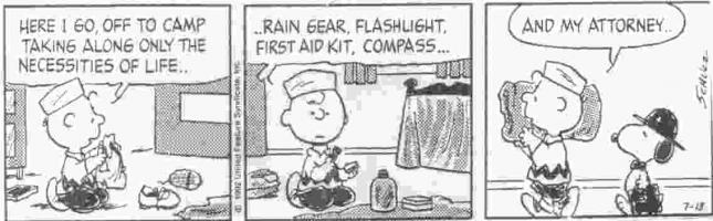 Peanuts quote #1